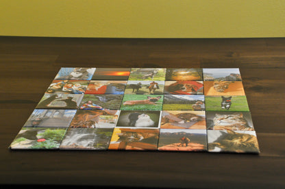 2" Square Photo Magnets