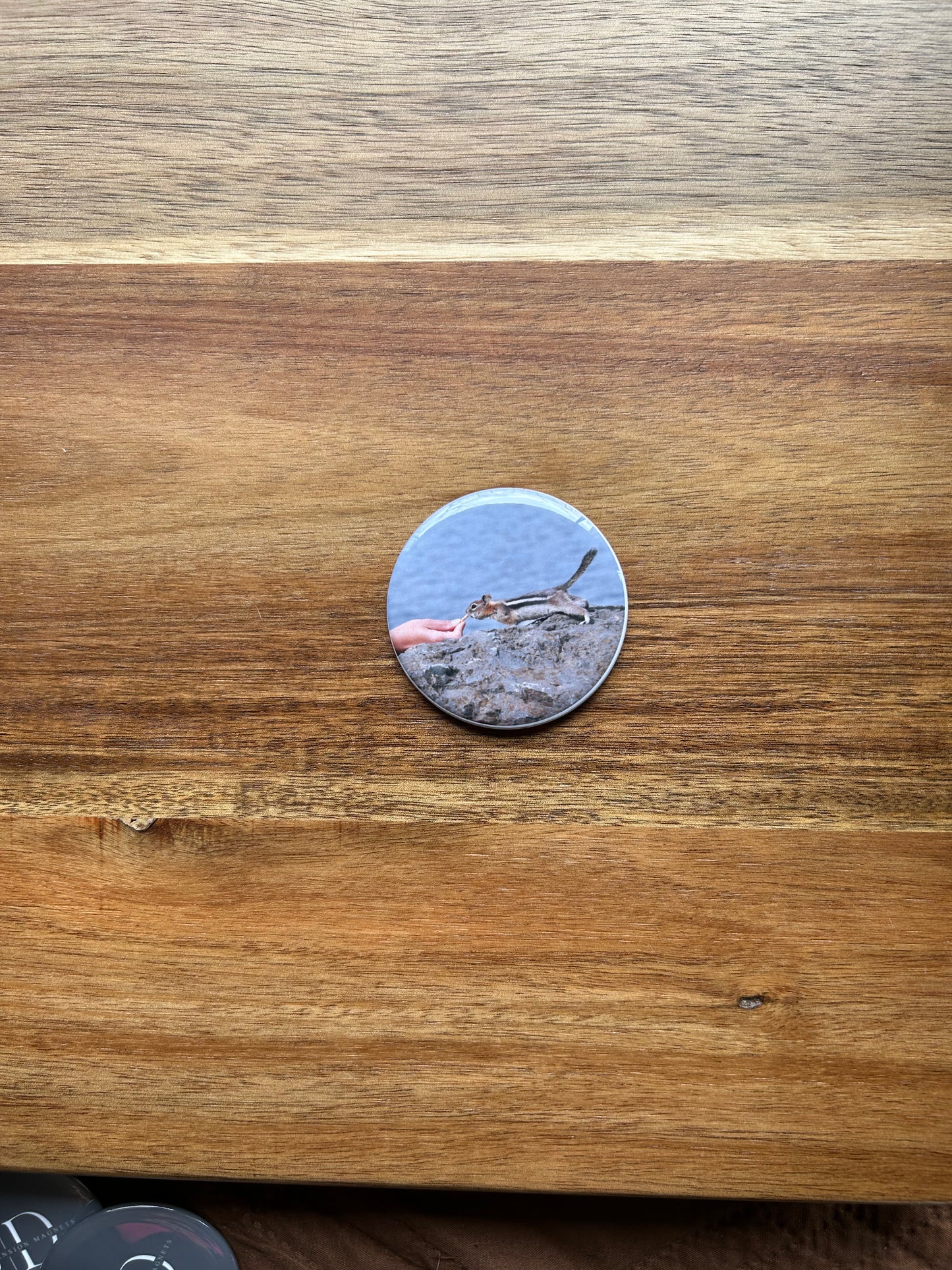 2.25" Round Photo Magnets
