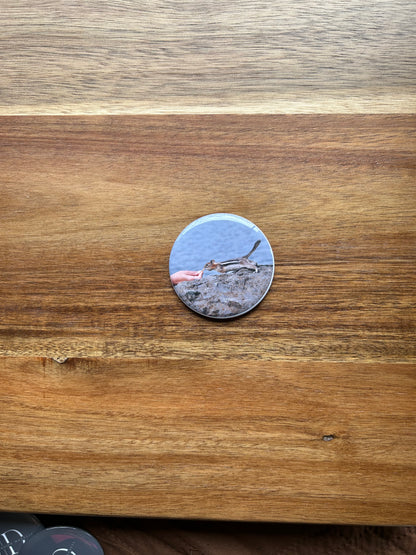 2.25" Round Photo Magnets